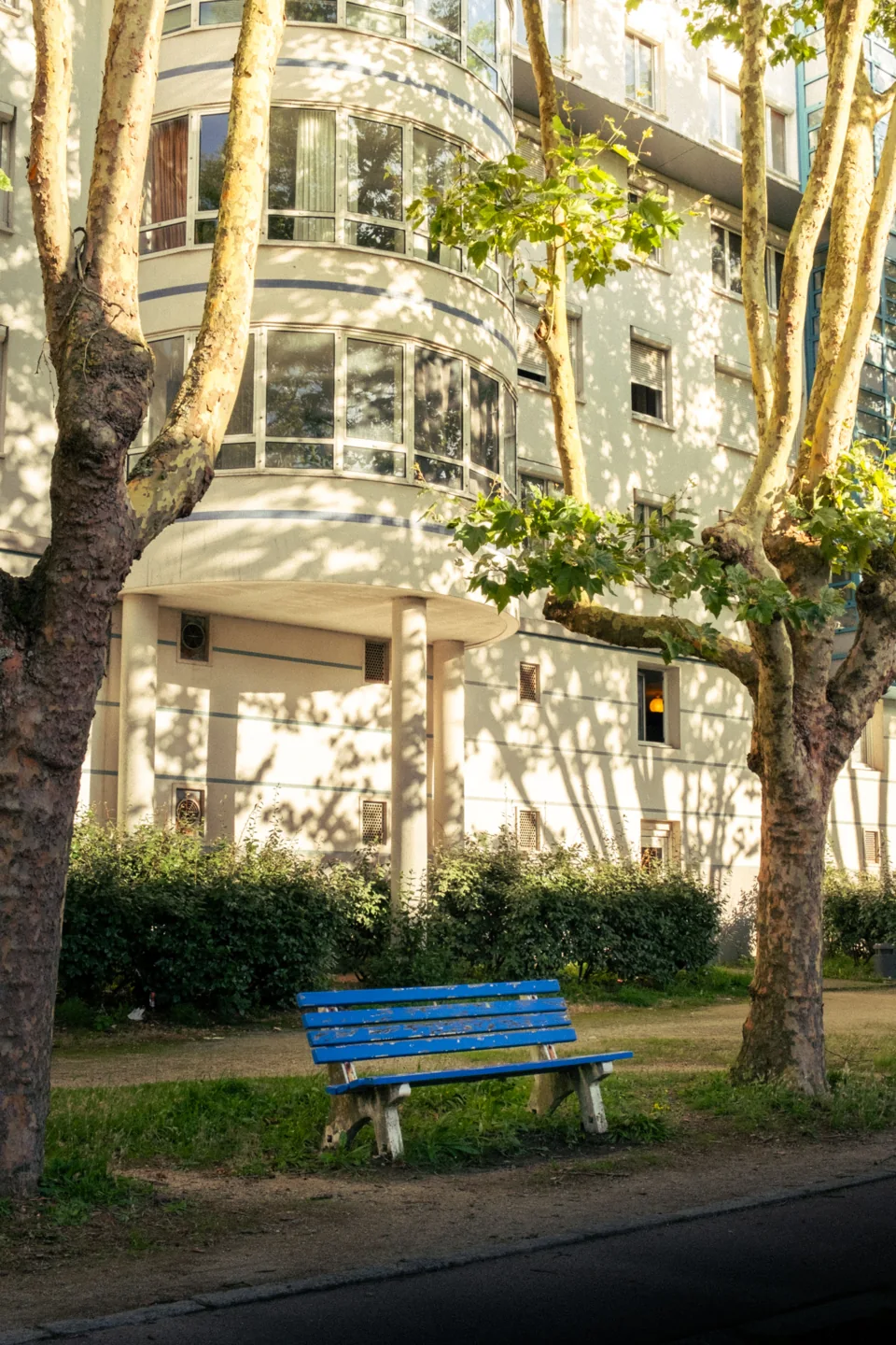 A blue bench in a tree-lined residential street