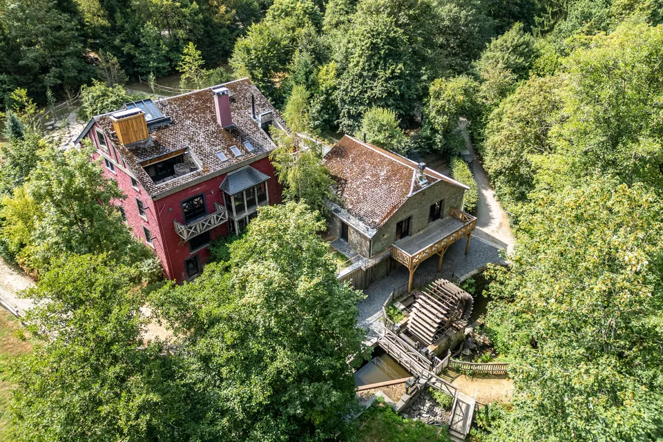Buildings and terraces surrounded by mature trees
